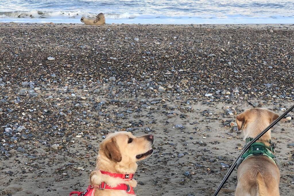 Dog Friendly Cottage 2 Mins To Beach With Hot Tub And Zappi Ev Lessingham Екстер'єр фото