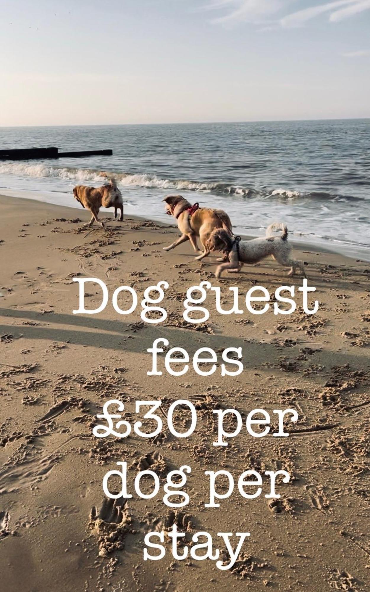 Dog Friendly Cottage 2 Mins To Beach With Hot Tub And Zappi Ev Lessingham Екстер'єр фото
